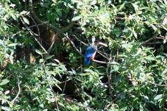 Killikus&reg; Fotographie